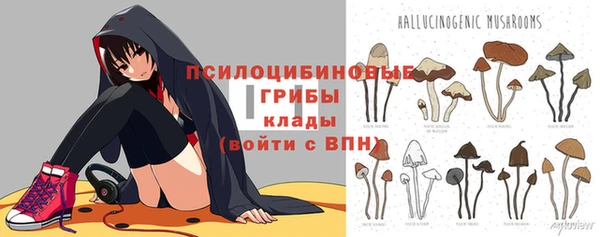 героин Алексин