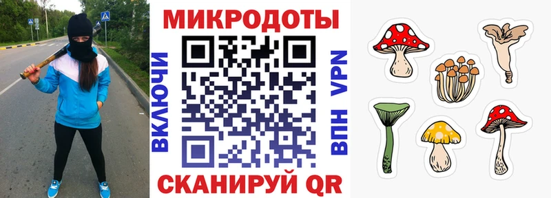 хочу наркоту  Владимир  Псилоцибиновые грибы Psilocybine cubensis 