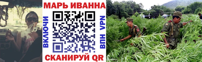 Каннабис OG Kush Владимир