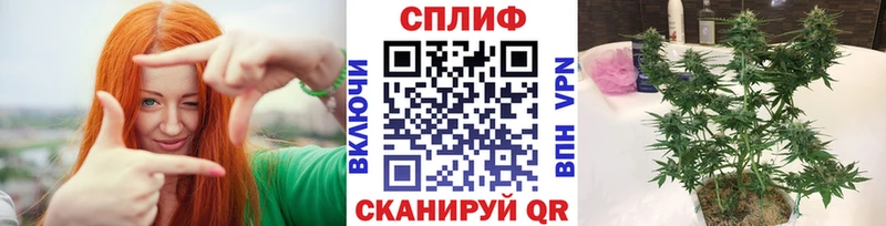МАРИХУАНА Amnesia  купить наркотики цена  Владимир 